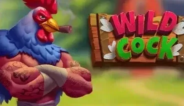 Wild Cock