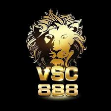 VSC888 Logo